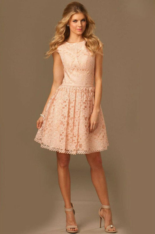 Stunning Lace Fit and Flare Mini Dress 99096