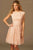 Stunning Lace Fit and Flare Mini Dress 99096