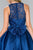 Elizabeth K - GS2383 Lace Jewel Neck Mikado A-line Dress In Blue