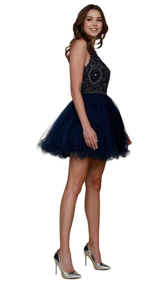 Nox Anabel Jewel Lace Applique A-Line Cocktail Dress B652 In Blue