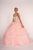Elizabeth K - GL2512 Ornate Illusion High Halter Ruffled Ballgown In Pink