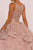 Elizabeth K - GL2513 Illusion Jewel-Ornate Appliqued Ballgown In Pink