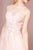 Elizabeth K - GL2693 Beaded Lace A-Line Evening Dress In Pink
