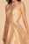 Elizabeth K - GS1630 Sequined Halter V-neck A-line Dress in Gold