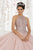 Quinceanera Collection - 26914 Halter Bodice Glitter Tulle Ballgown In Neutral and Pink