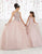 Quinceanera Collection - 26914 Halter Bodice Glitter Tulle Ballgown In Neutral and Pink