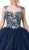 Dancing Queen - 1355 Embroidered Sweetheart Ballgown In Blue