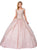 Dancing Queen - 1343 Cap Sleeve Gilt-Appliqued Overskirt Ballgown In Pink