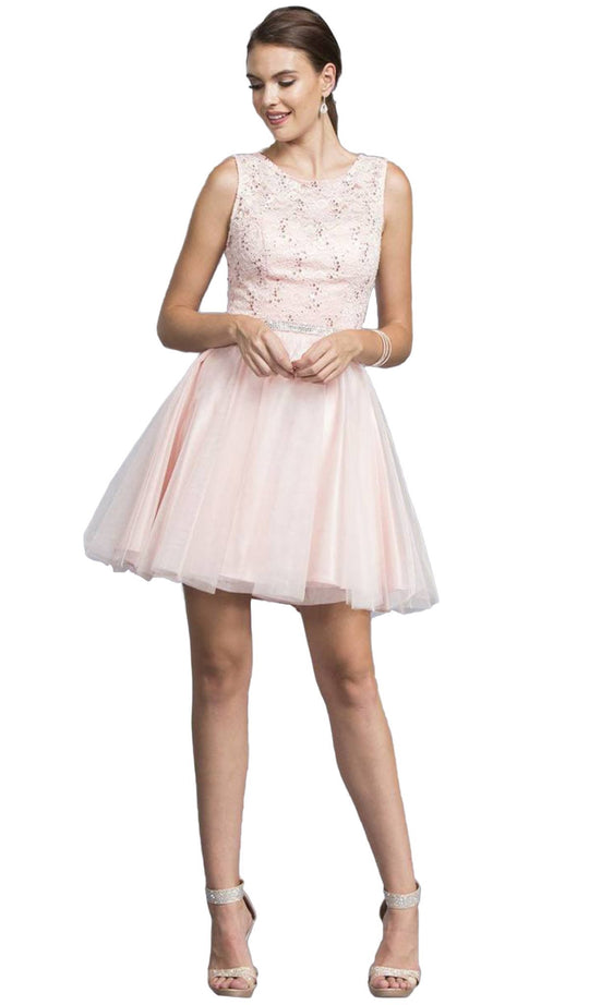 Sleeveless Lace and Tulle Cocktail Dress