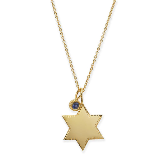 Star of David Charm Necklace