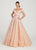 Ellie Wilde - EW119027 Intricate Lace Off Shoulder Ballgown In Pink