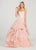 Ellie Wilde - EW119033 Jeweled Embroidered Lace Tiered Gown In Pink