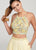 Ellie Wilde - EW119073 Two-Piece Beaded Dimensional Floral Lace Gown In Yellow