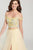Ellie Wilde - EW119074 Two Piece Embroidered Tulle A-line Dress In Yellow