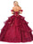 Dancing Queen - 1348 Lace Applique Sweetheart Ballgown In Red