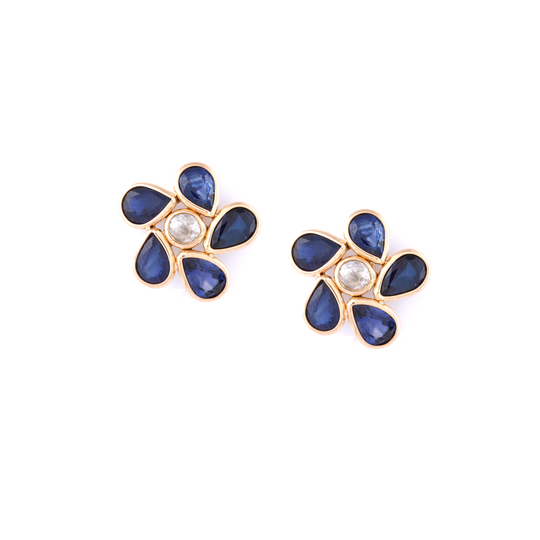 Blue Sapphire P/S & Diamond Earring in 18K YG