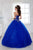 Fiesta Gowns - 56281 Strapless Beaded Sweetheart Tulle Ballgown