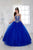 Fiesta Gowns - 56281 Strapless Beaded Sweetheart Tulle Ballgown