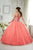 Fiesta Gowns - 56315 Sleeveless Beaded Jewel Tulle Ballgown