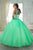 Fiesta Gowns - 56316 Sleeveless Beaded Halter Tulle Ballgown
