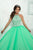 Fiesta Gowns - 56316 Sleeveless Beaded Halter Tulle Ballgown