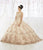 Quinceanera Collection - 26918 Embroidery Lace Beaded Ballgown