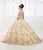 Quinceanera Collection - 26918 Embroidery Lace Beaded Ballgown