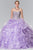 Ruffled Sweetheart Ballgown GL2209