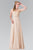 Embroidered Illusion Top Chiffon A Line Dress GL2364