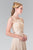 Embroidered Illusion Top Chiffon A Line Dress GL2364