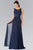 Embroidered Illusion Top Chiffon A Line Dress GL2364