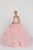 GL2430 Illusion High Halter Cascading Petal Tulle Ballgown