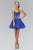 Laced Sweetheart Neck Tulle Short Dress GS1110