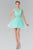 Sleeveless Lace Bodice Short Dress GS1427