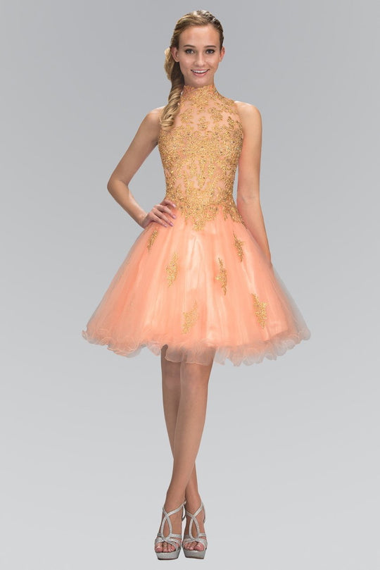 Lace Embellished High Neck Tulle Dress GS1451