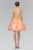 Lace Embellished High Neck Tulle Dress GS1451