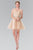 Lace Illusion A-Line Tulle Short Dress GS2375