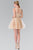 Lace Illusion A-Line Tulle Short Dress GS2375