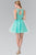 Lace Illusion A-Line Tulle Short Dress GS2375