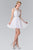 Lace Illusion A-Line Tulle Short Dress GS2375
