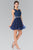 Lace Illusion A-Line Tulle Short Dress GS2375