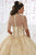 Quinceanera Collection - 26913 Metallic Beaded Strapless Ballgown