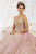 Quinceanera Collection - 26913 Metallic Beaded Strapless Ballgown