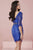 Tiffany Homecoming - Scalloped Lace Bateau Illusion Sheath Cocktail Dress 27140 In Blue