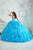 Quinceanera Collection - 26850 Bedazzled Strapless Ruffle Ballgown