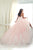 Quinceanera Collection - 26852 Lace Strapless Sweetheart Ballgown
