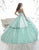 Quinceanera Collection - 26873 Illusion Jewel Pleated Ballgown