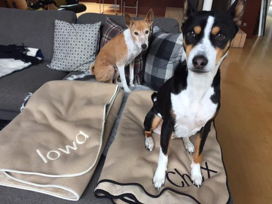 Monogrammed blanket - Exclusive