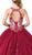 Dancing Queen - 1392 Embroidered Cutout Back Tulle Ballgown In Red