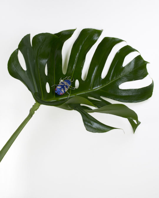 Victorian Beaded Water-bug Brooch